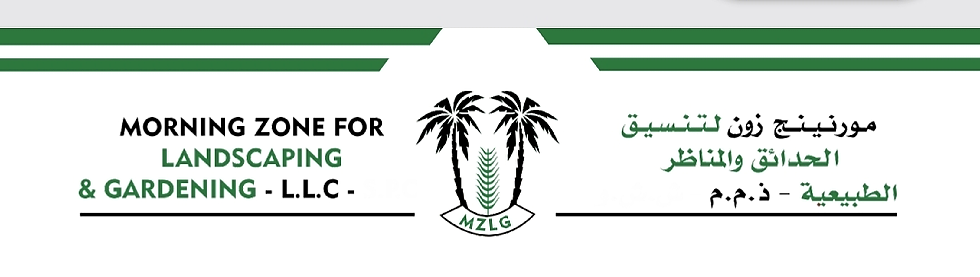 Morning Zone Logo